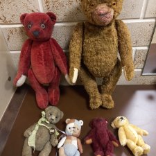 РАСХОМЯК! Мишки разные!