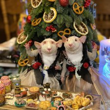 С Новым годом!