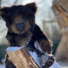 Мишки бывают разными, но любимые 100%