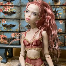 Прекрасная роза