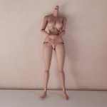 Шарнирное тело 1/6