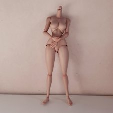 Шарнирное тело 1/6