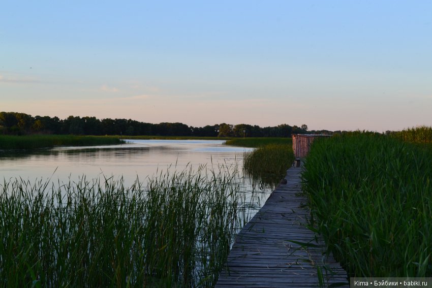 Тихая гавань — Куклы Fairyland (ФэйриЛэнд): BJD (БЖД) (фото 4)