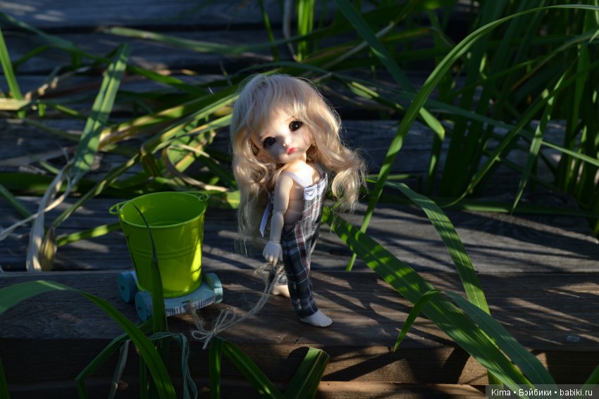 pukifee ante fairyland пукифи анте фейриленд