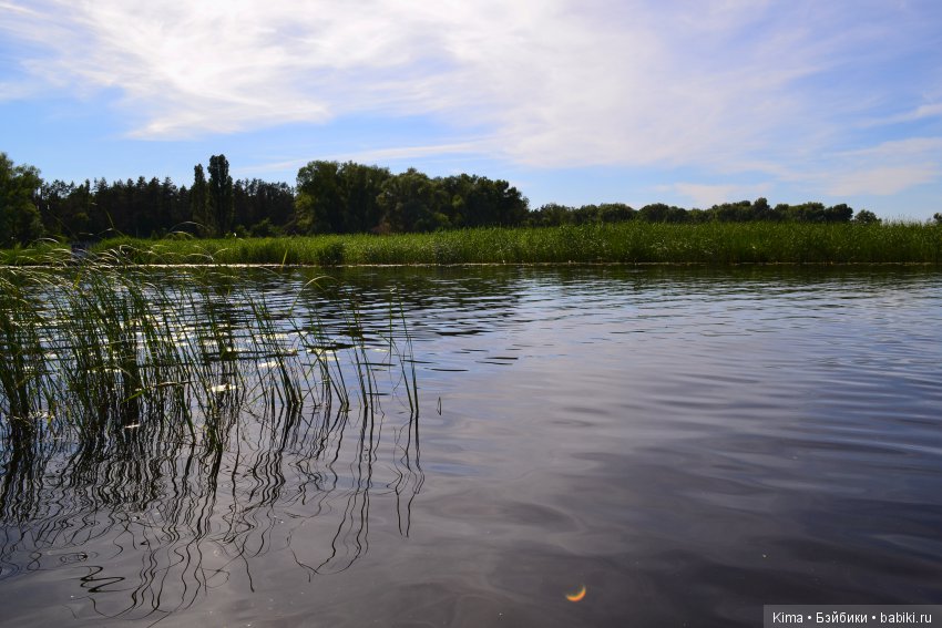 Тихая гавань — Куклы Fairyland (ФэйриЛэнд): BJD (БЖД) (фото 2)