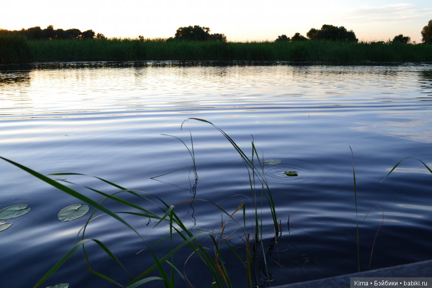 Тихая гавань — Куклы Fairyland (ФэйриЛэнд): BJD (БЖД) (фото 6)