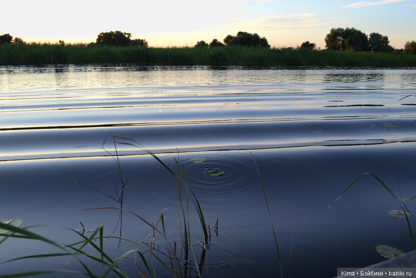 Тихая гавань — Куклы Fairyland (ФэйриЛэнд): BJD (БЖД) (фото 5)