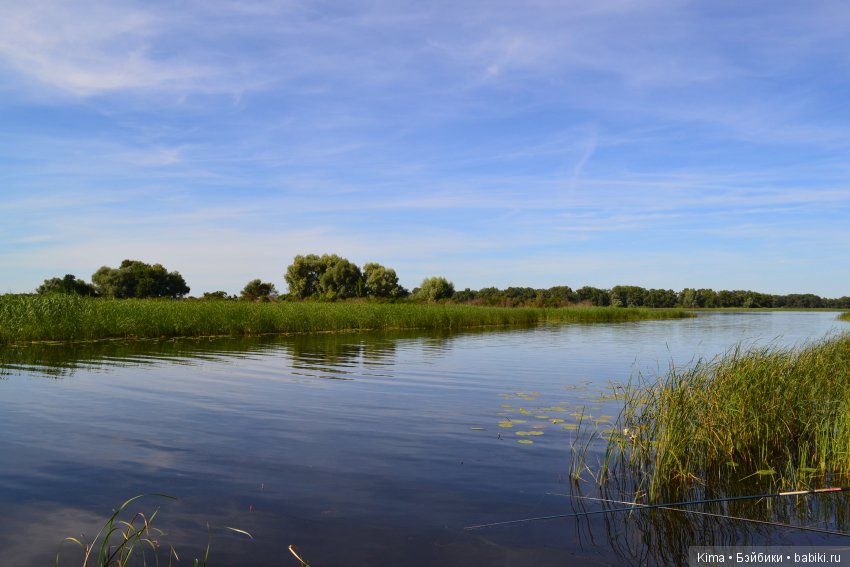 Тихая гавань — Куклы Fairyland (ФэйриЛэнд): BJD (БЖД)