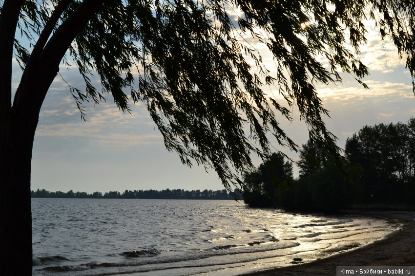 Энджи мишкодел и малыш Тим (фото 2)