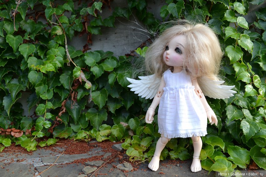 realfee eva fairyland реалфи ева фейриланд