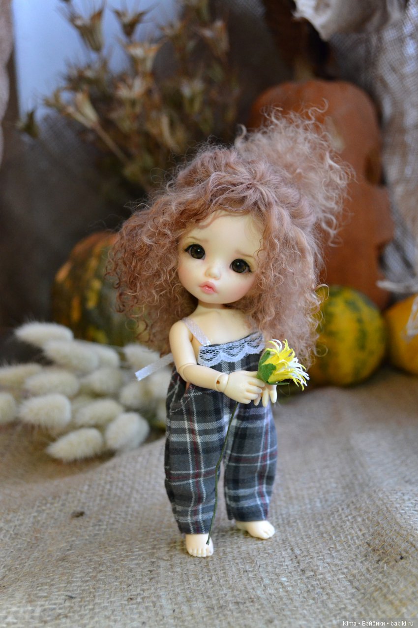 pukifee ante fairyland пукифи анте фейриленд