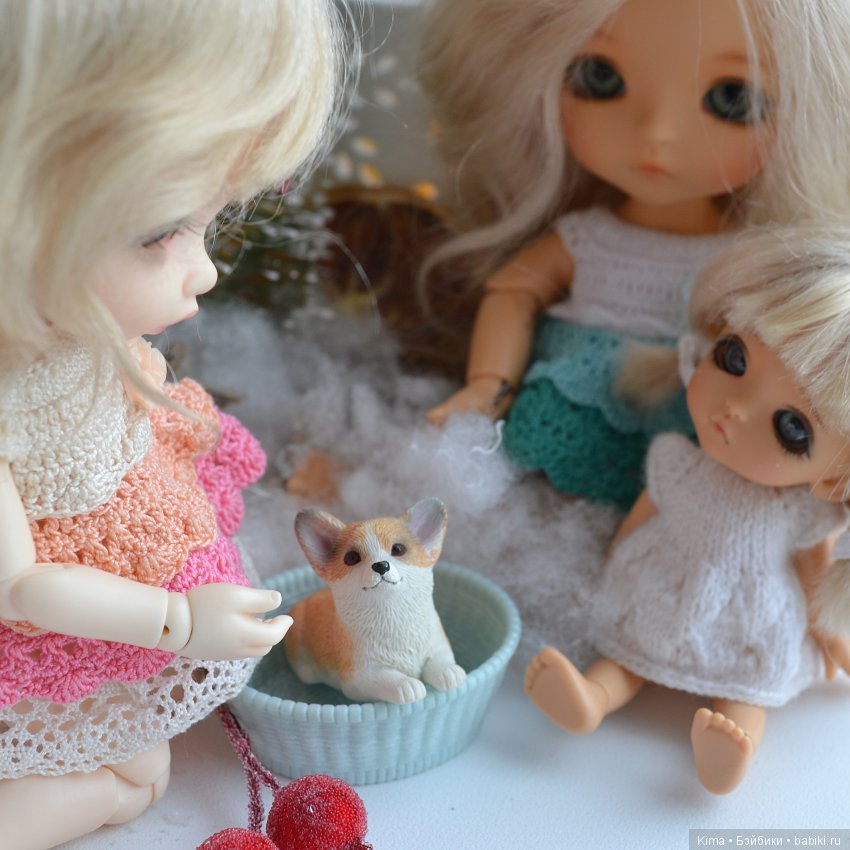 lati yellow haru лати хару pukifee ante