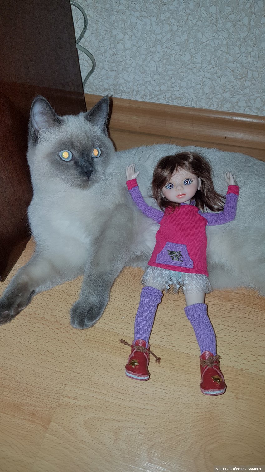 Кто украл моё сердце и всё свободное время (фото 4)