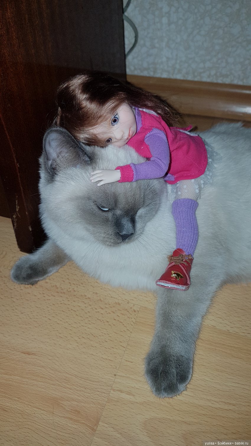 Кто украл моё сердце и всё свободное время (фото 5)