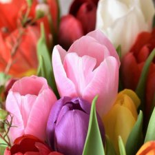 С Днем 8 Марта, милые женщины!