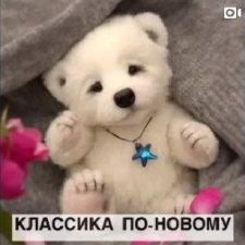 Выкройка мишки Кати Лейт