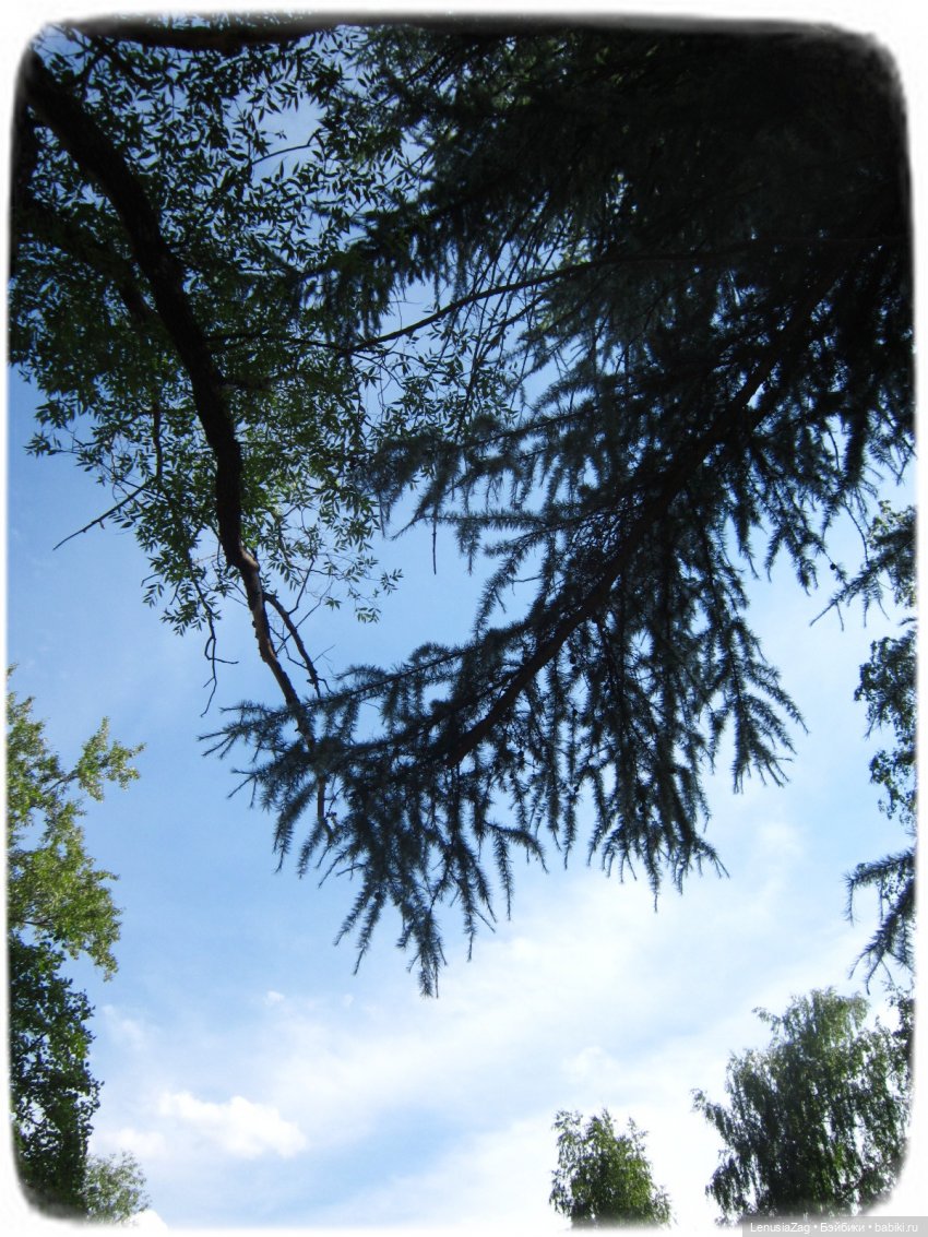 Прогулка в Треугольном сквере