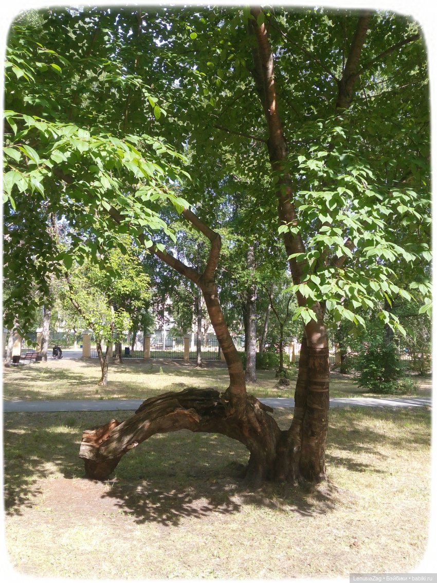 Прогулка в Треугольном сквере