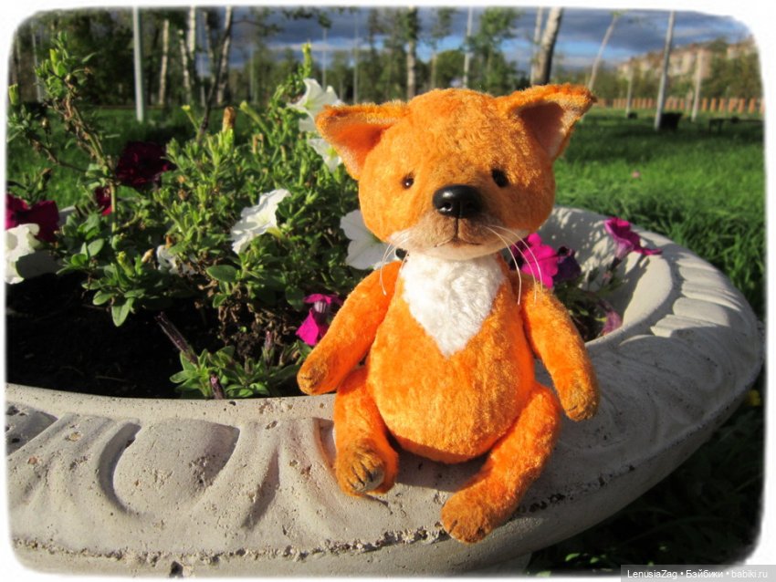 Фотосессия лисёнка Лесика