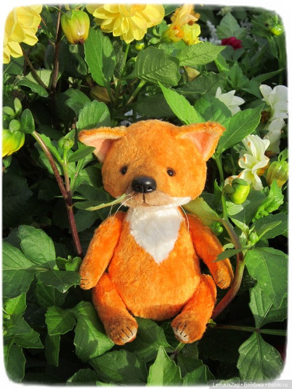 Фотосессия лисёнка Лесика (фото 3)