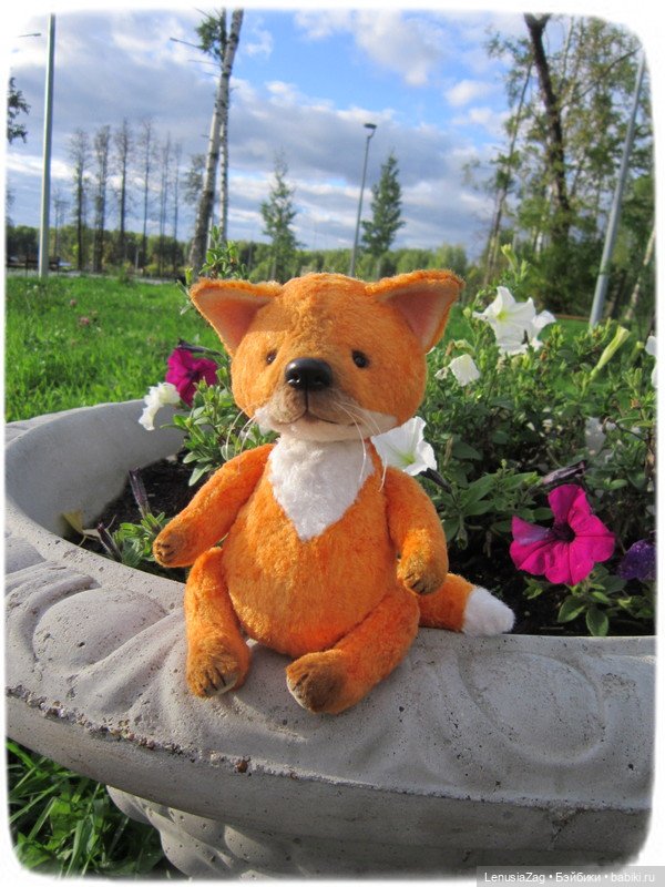 Фотосессия лисёнка Лесика (фото 2)