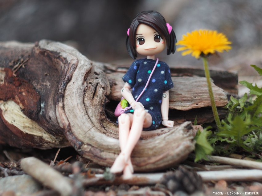 Моя Даки — Гибриды шарнирных кукол (не БЖД): подбор тела (фото 3)