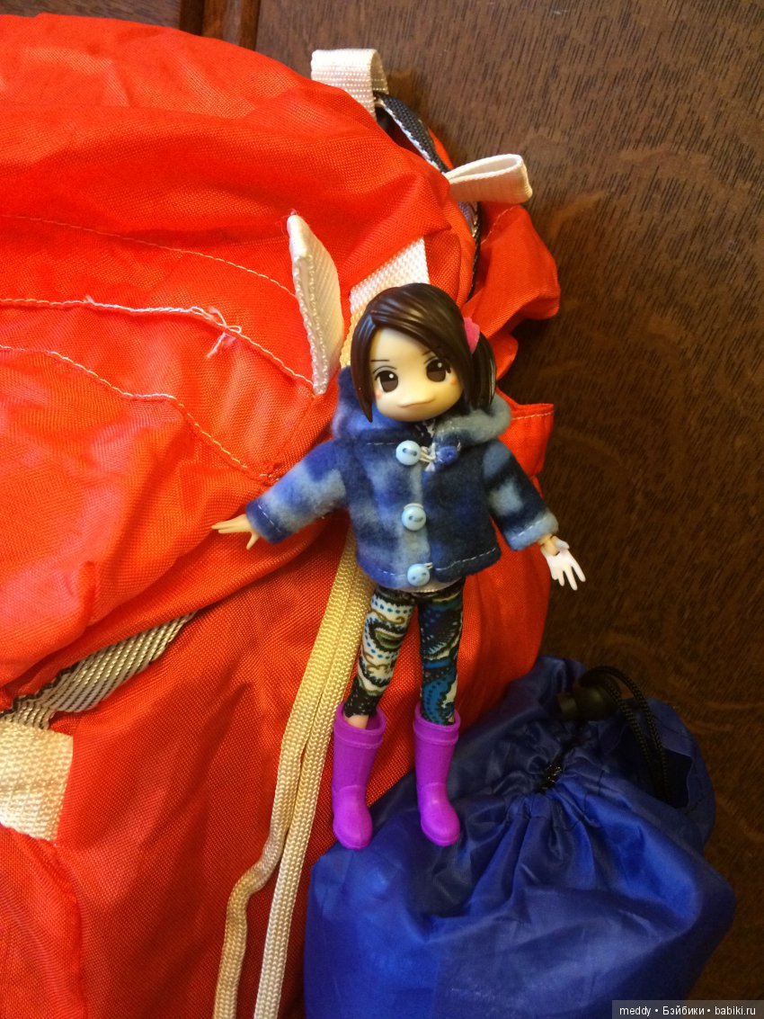 Путешественница Даки.. или поездка в Карелию (фото 2)