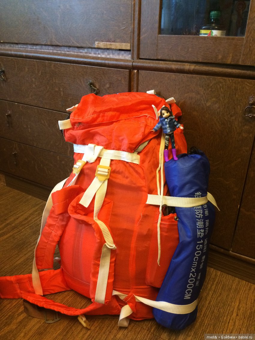 Путешественница Даки.. или поездка в Карелию