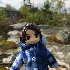 Путешественница Даки.. или поездка в Карелию