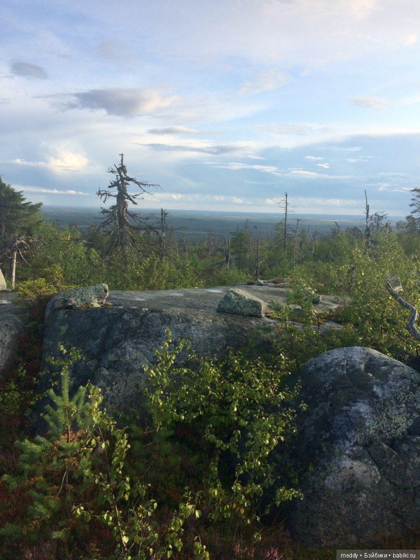 Путешественница Даки.. или поездка в Карелию