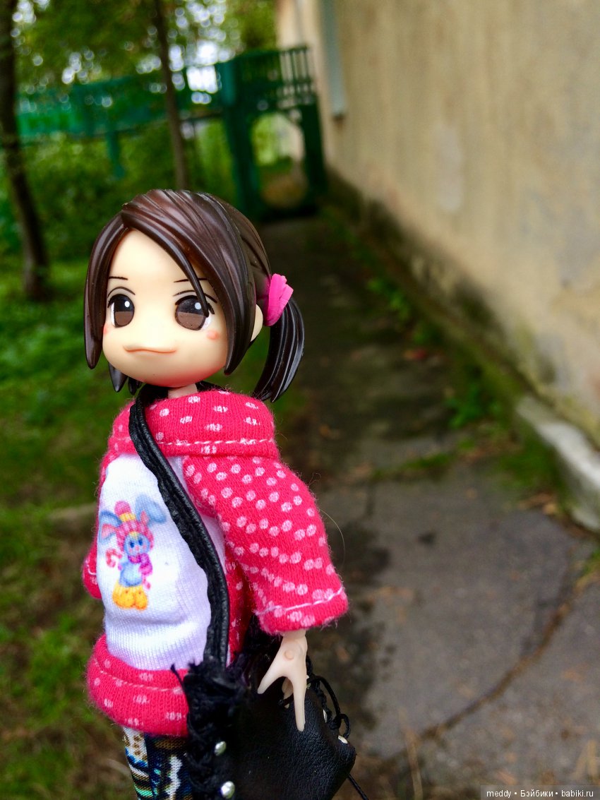 Путешественница Даки.. или поездка в Карелию