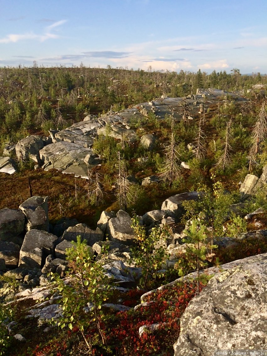 Путешественница Даки.. или поездка в Карелию