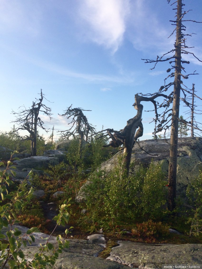 Путешественница Даки.. или поездка в Карелию