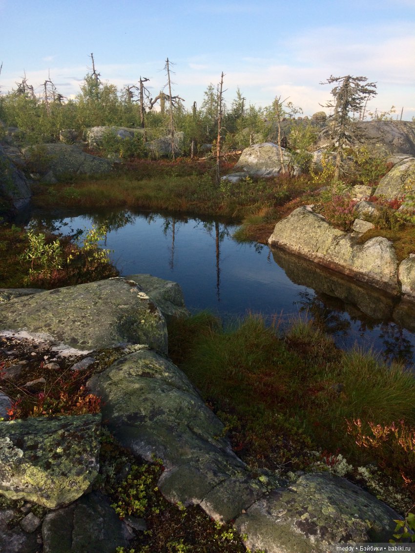 Путешественница Даки.. или поездка в Карелию