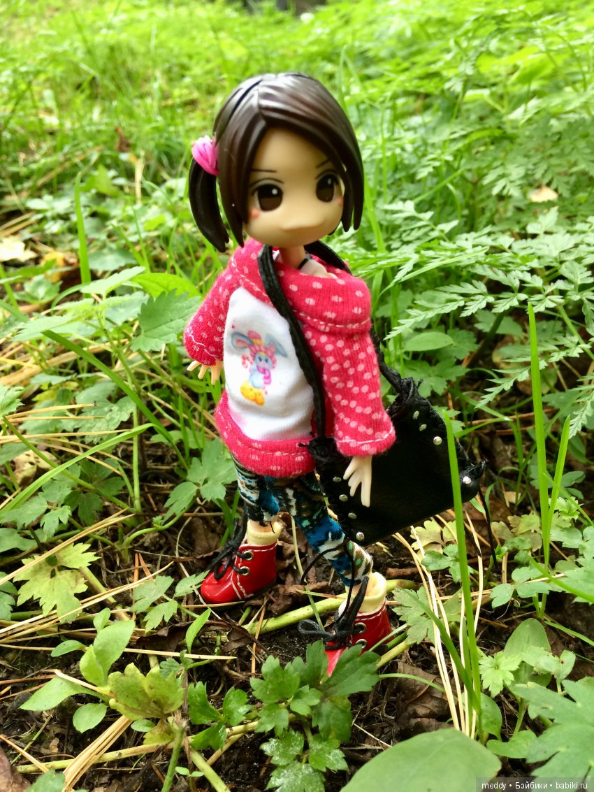 Путешественница Даки.. или поездка в Карелию