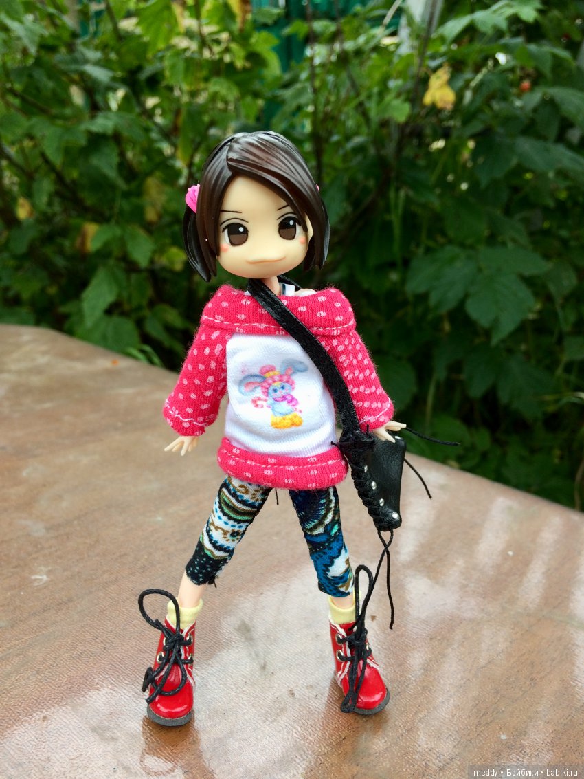 Путешественница Даки.. или поездка в Карелию