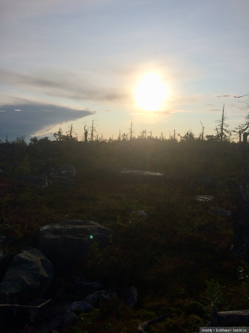 Путешественница Даки.. или поездка в Карелию