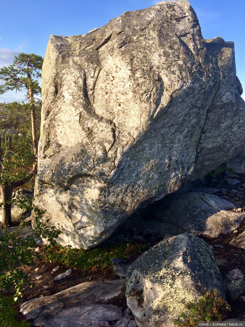 Путешественница Даки.. или поездка в Карелию