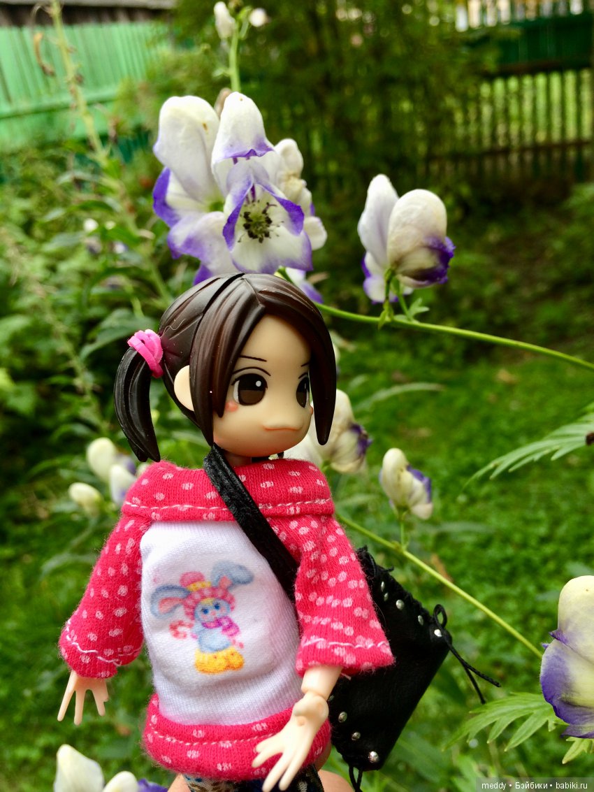 Путешественница Даки.. или поездка в Карелию