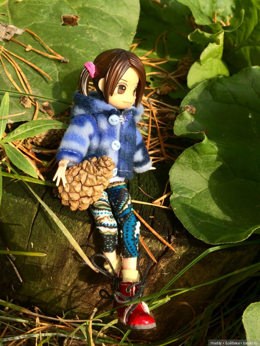 Путешественница Даки.. или поездка в Карелию