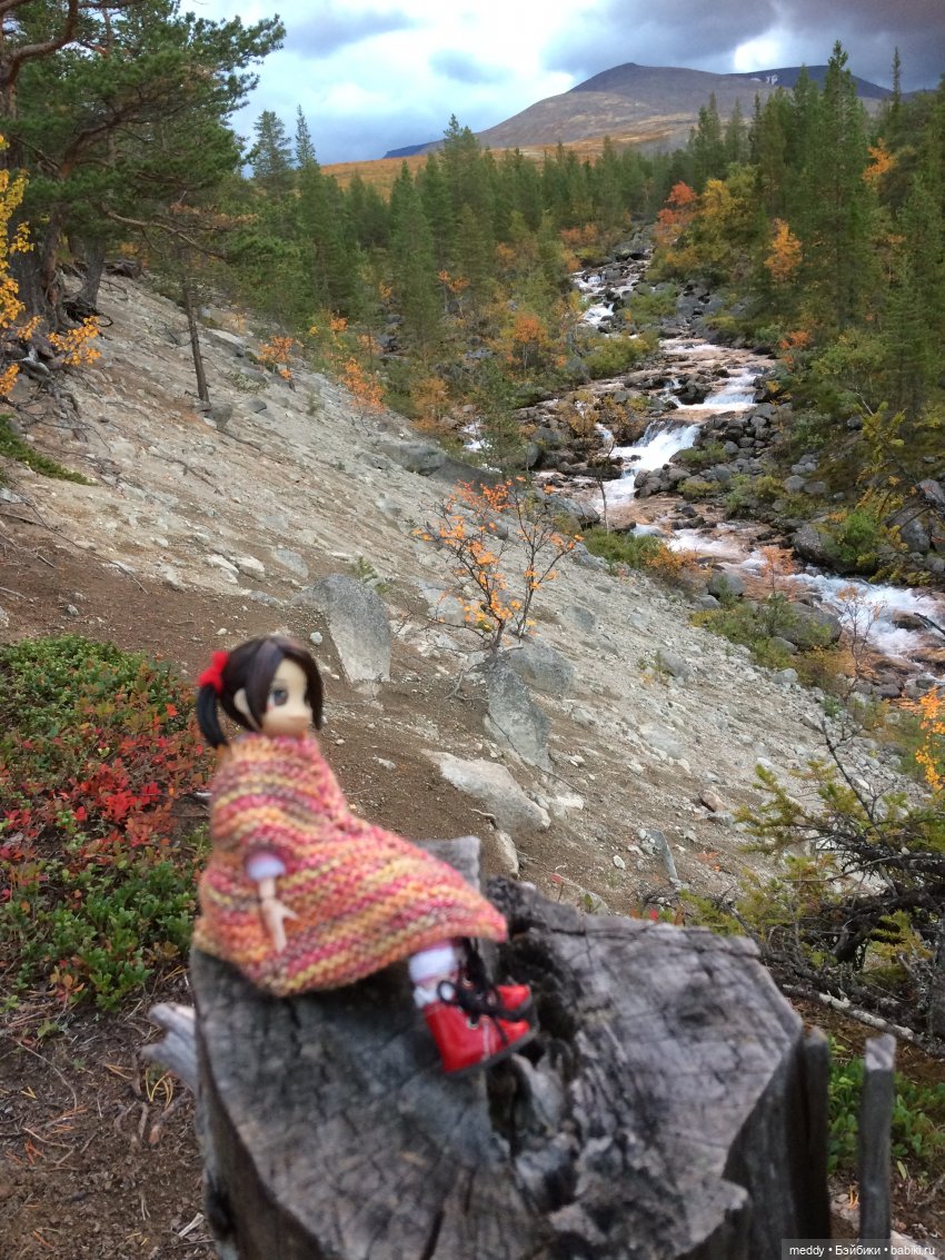 Грандиозное путешествие с Даки по Кольскому полуострову. Часть первая. Горы Хибины (фото 3)