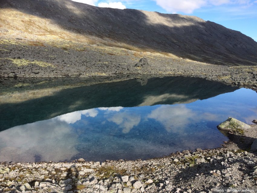 Грандиозное путешествие с Даки по Кольскому полуострову. Часть первая. Горы Хибины (фото 10)