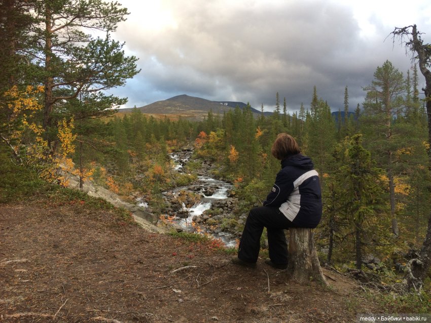 Грандиозное путешествие с Даки по Кольскому полуострову. Часть первая. Горы Хибины (фото 5)