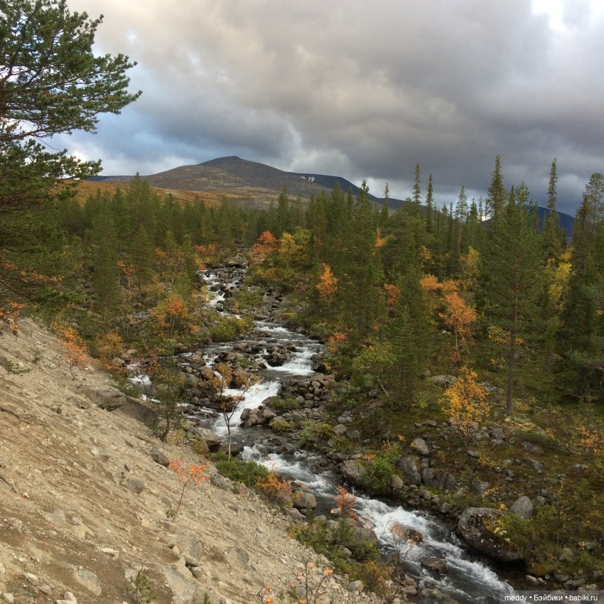Грандиозное путешествие с Даки по Кольскому полуострову. Часть первая. Горы Хибины (фото 6)