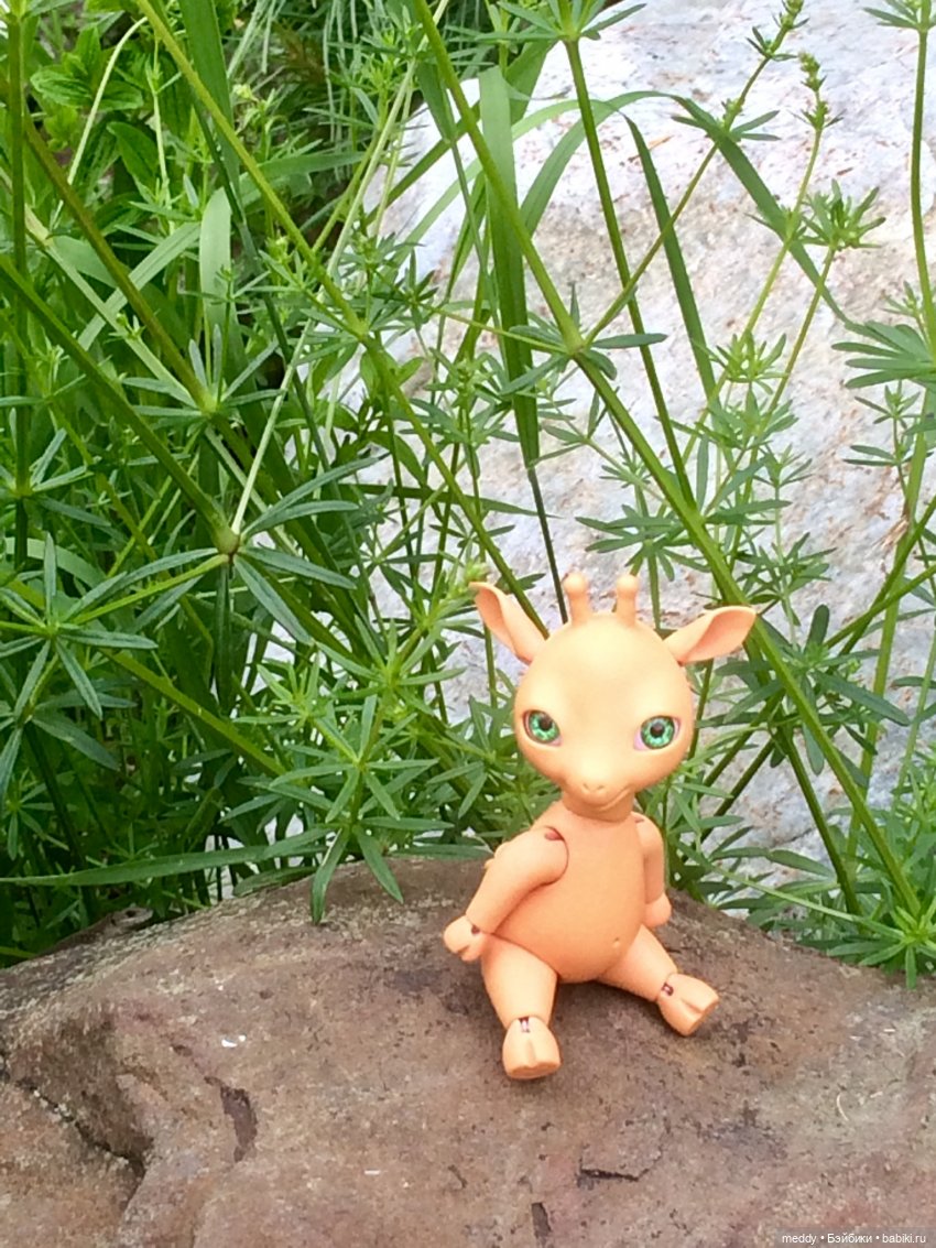 Путешествие к Онежскому Озеру...с Mamachapp Юй | Бэйбики Путешествие к Онежскому Озеру...с Mamachapp Юй