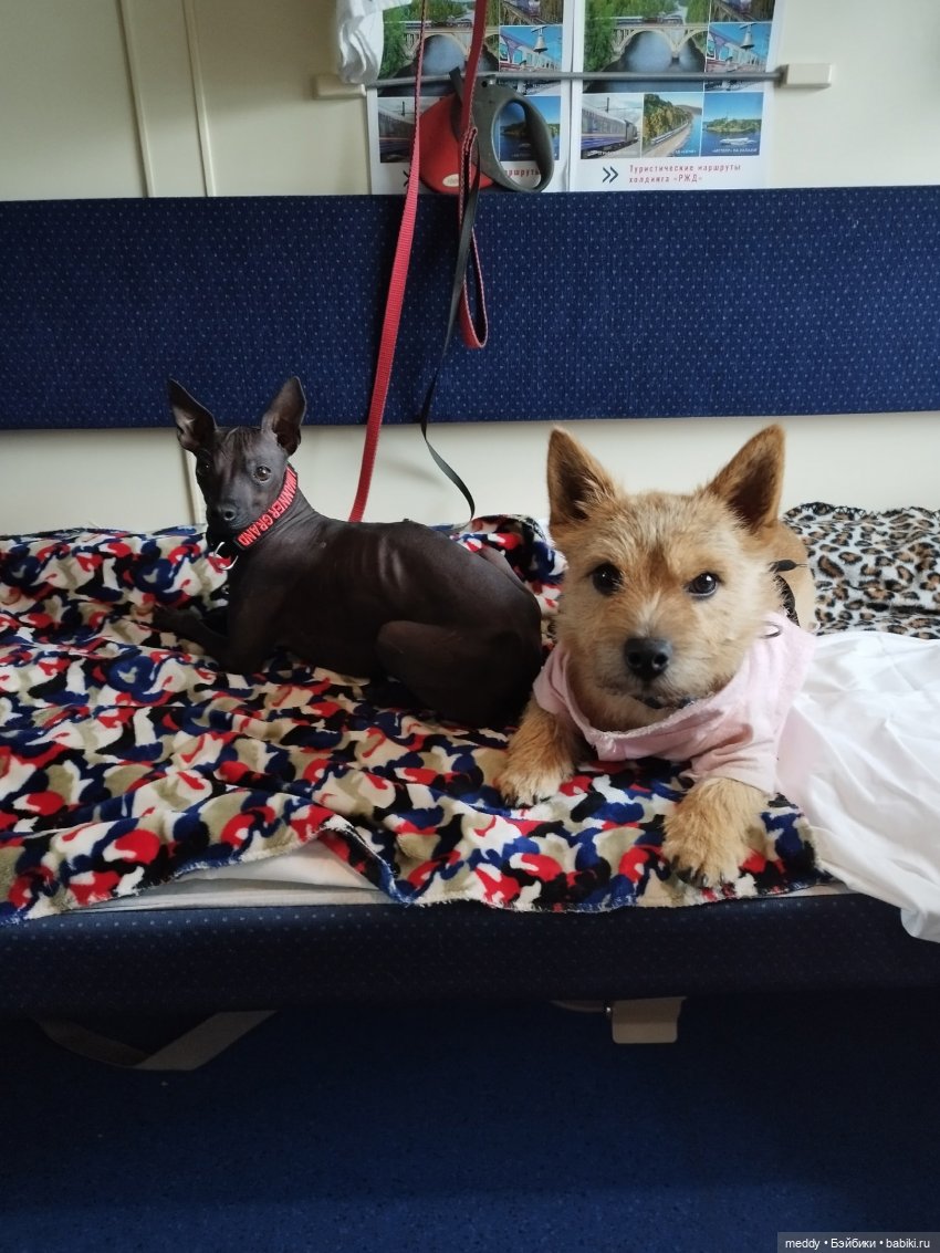 Моя Sto doll Раечка...Год вместе