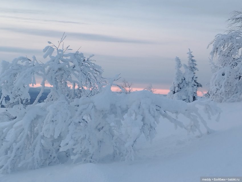 Хроники Исабель.Времена года