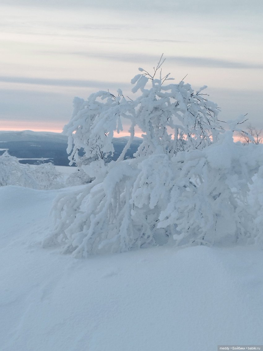 Хроники Исабель.Времена года