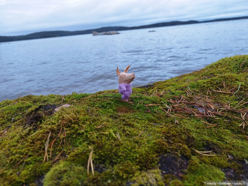 Мой карманный компаньен. Свинка Оливия