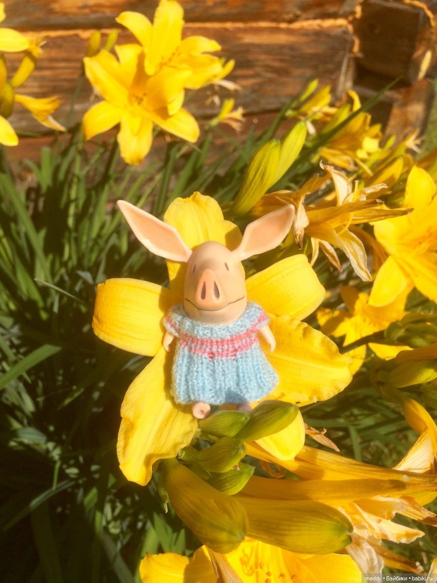 Мой карманный компаньен. Свинка Оливия